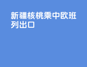 新疆核桃乘中欧班列出口