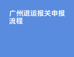 广州退运报关申报流程