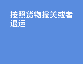 按照货物报关或者退运
