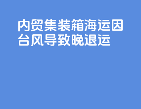内贸集装箱海运因台风导致晚退运