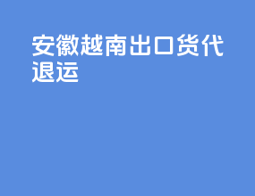 安徽越南出口货代退运