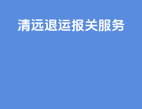 清远退运报关服务