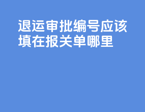 退运审批编号应该填在报关单哪里
