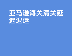 亚马逊海关清关延迟退运
