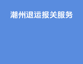 潮州退运报关服务