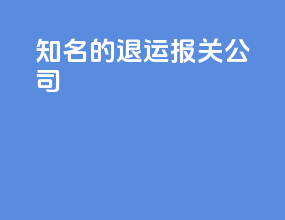 知名的退运报关公司