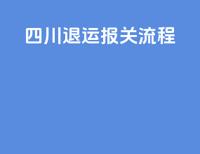 四川退运报关流程