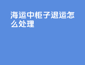 海运中柜子退运怎么处理