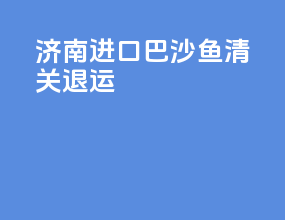 济南进口巴沙鱼清关退运