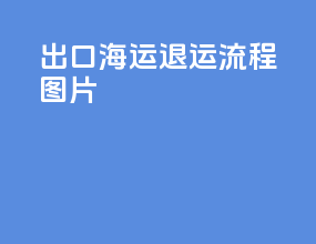 出口海运退运流程图片