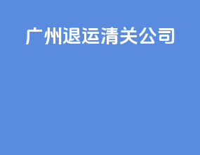 广州退运清关公司