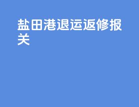 盐田港退运返修报关