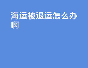 海运被退运怎么办啊