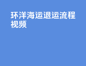 环洋海运退运流程视频