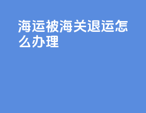 海运被海关退运怎么办理