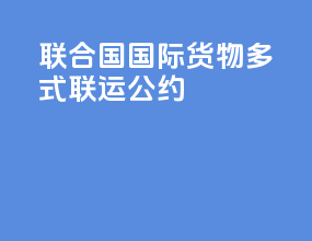 联合国国际货物多式联运公约ppt