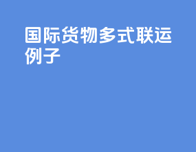 国际货物多式联运例子
