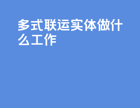 多式联运实体做什么工作